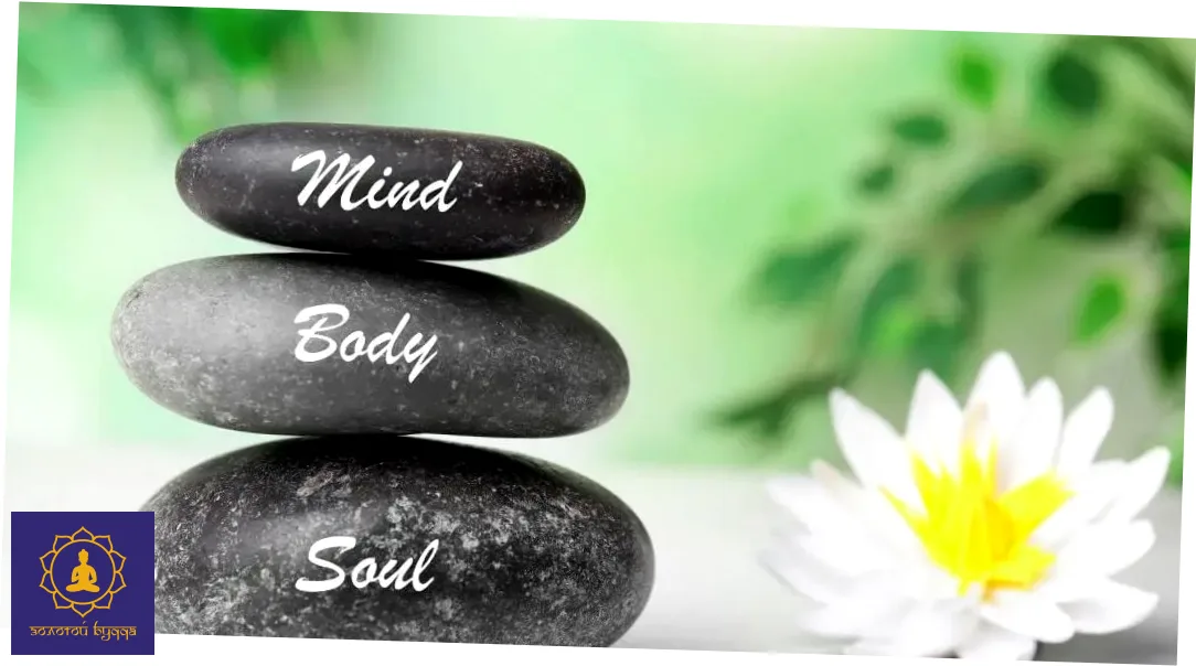 Холистическое оздоровление: гармония снаружи и внутри