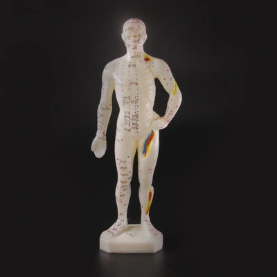 Макети людини, частин тіла
