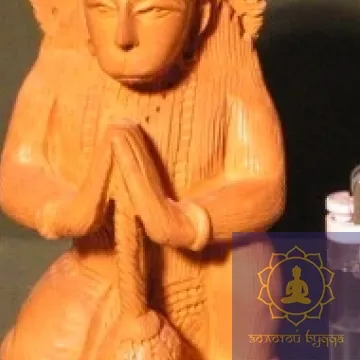 Хануман цар мавп