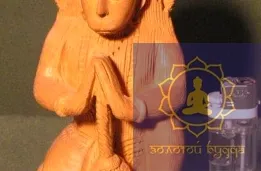 Хануман цар мавп