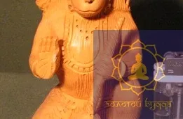 Хануман цар мавп. Дерево.