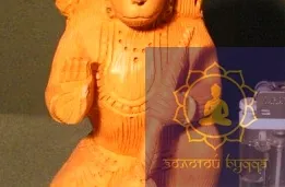 Хануман цар мавп. Дерево.