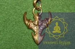 Амулет кіготь дракона бронза.