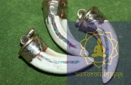 Амулет Зуб дракона.