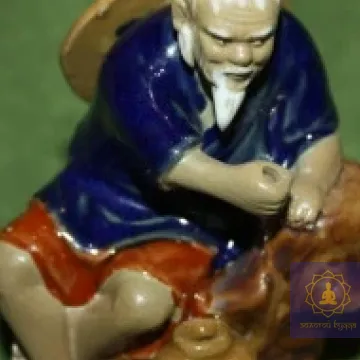 Фуси ловит рыбу