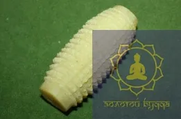 Масажер Жадеїт