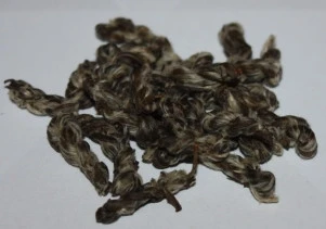 Жасминовий кабачок