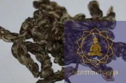 Жасминовий кабачок