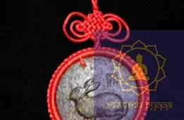 Пуер гороскоп