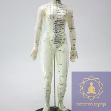 Макет людини жінки 50 см.