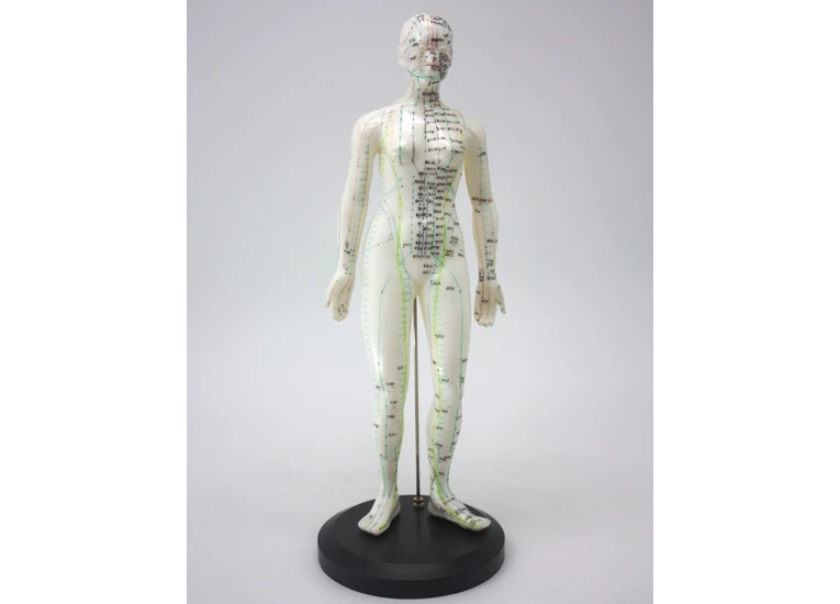 Макет человека женщины 50см.