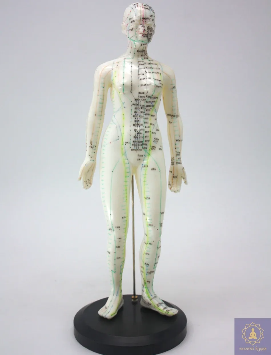 Макет людини жінки 50 см.