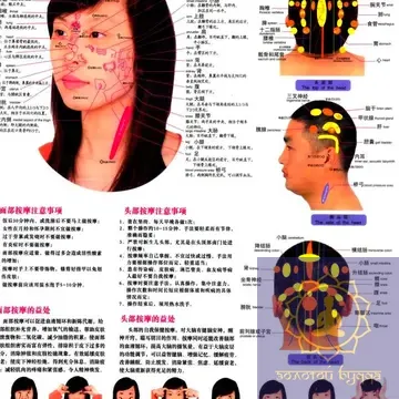 Плакат с меридианами и акупунктурными точками.