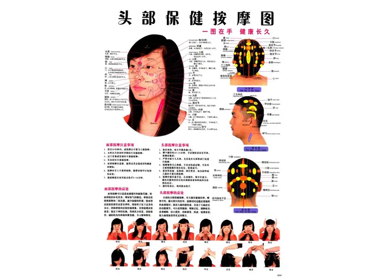 Плакат с меридианами и акупунктурными точками.