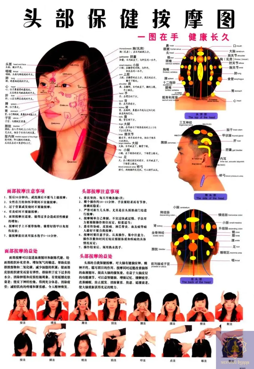 Плакат із меридіанами й акупунктурними точками.