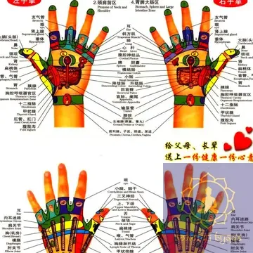 Плакат із меридіанами й акупунктурними точками.