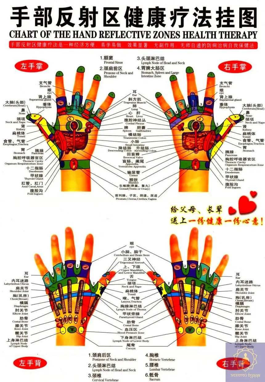 Плакат с меридианами и акупунктурными точками.