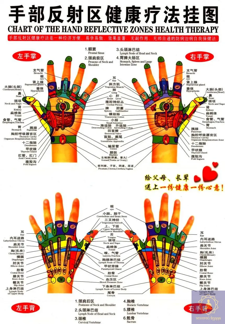 Плакат с меридианами и акупунктурными точками.