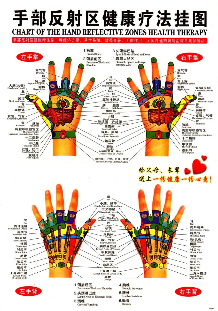 Плакат із меридіанами й акупунктурними точками.