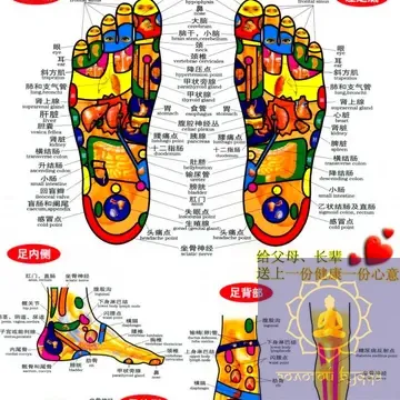 Плакат с меридианами и акупунктурными точками.