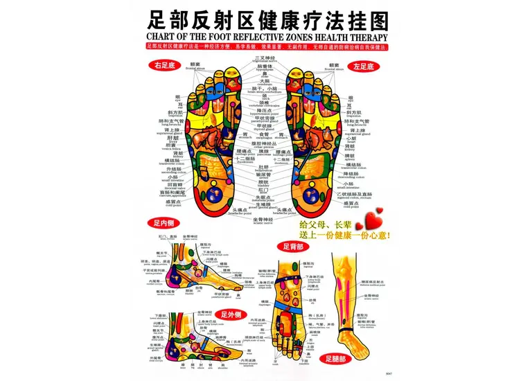 Плакат с меридианами и акупунктурными точками.