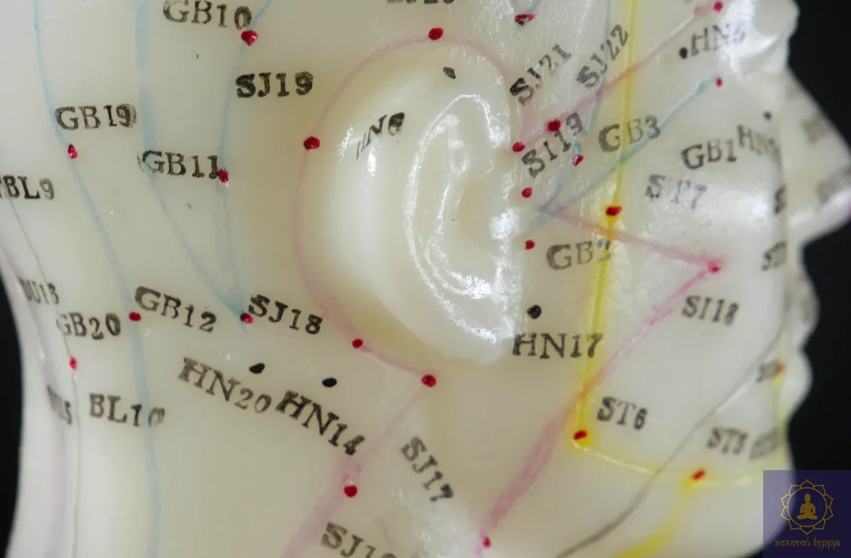 Макет голови.