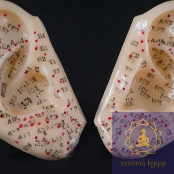 Макет уха   2шт   8 см