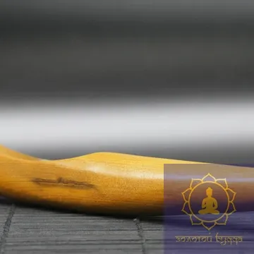 Масажер тичковий алойне дерево