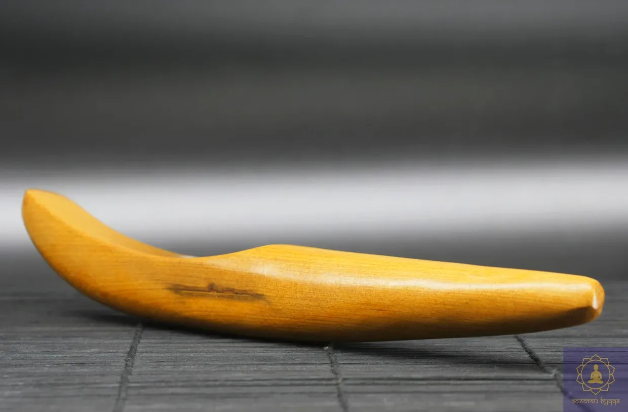 Массажер тычковый алойное дерево