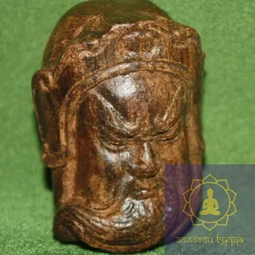 Куан Кун. Дерево - Рудракша