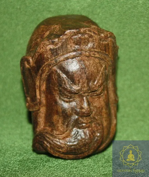 Куан Кун. Дерево - Рудракша