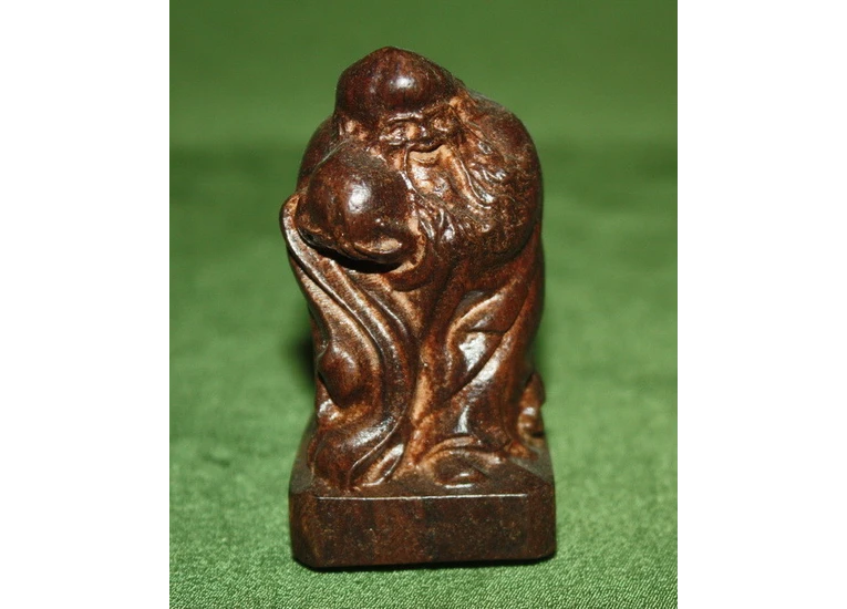 Шоусин, дерево — Рудракша.