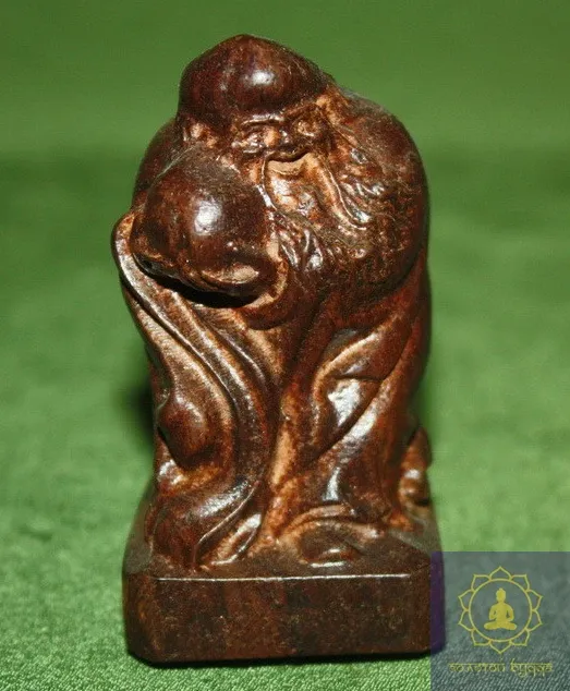 Шоусин, дерево — Рудракша.