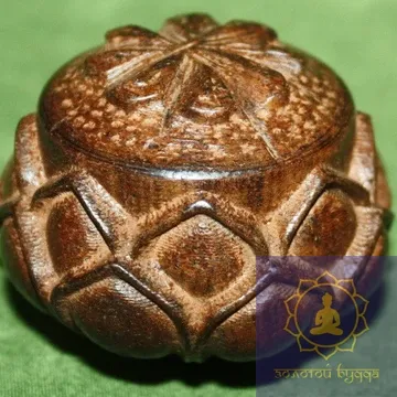 Квітка Лотоса. Дерево - Рудракша.