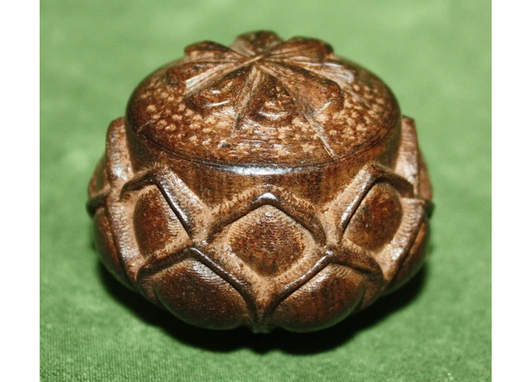 Квітка Лотоса. Дерево - Рудракша.