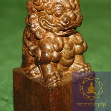 Лев. Дерево - Рудракша