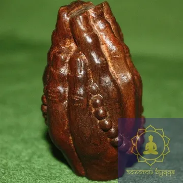 Руки складені до молитви. Дерево - Рудракша.