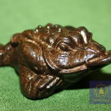 Жаба трилапая.Резьба для дерева - Рудракша.