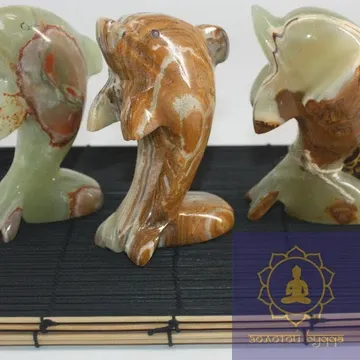 Дельфин малый (оникс)