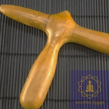 Масажер тичковий алойне дерево