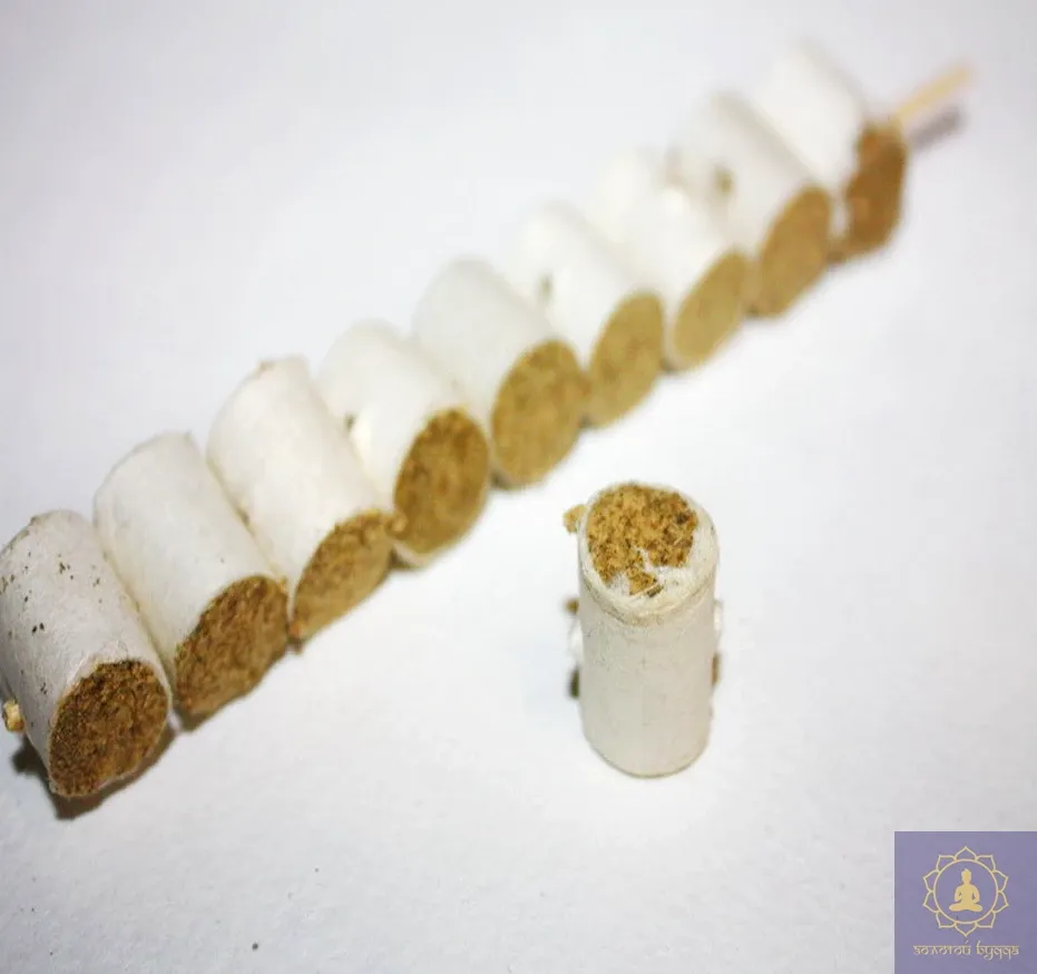 Мокси полинові, (шашлик) по-штучно