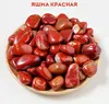 Яшма кривавик
