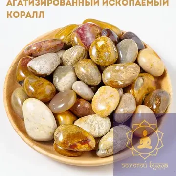 Агатизований корал