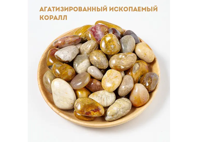 Агатизований корал