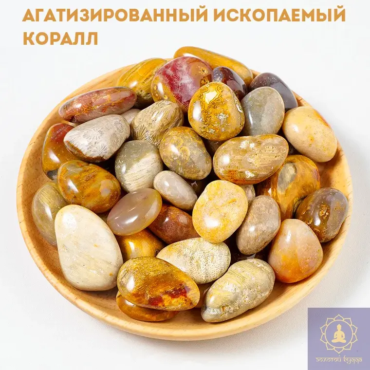 Агатизований корал