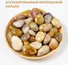 Агатизований корал