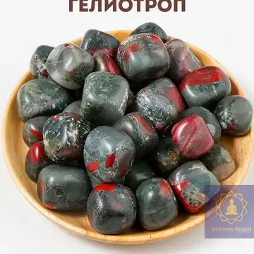 Гелиотроп