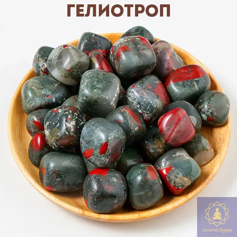 Геліотроп