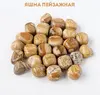 Яшма краєвидна