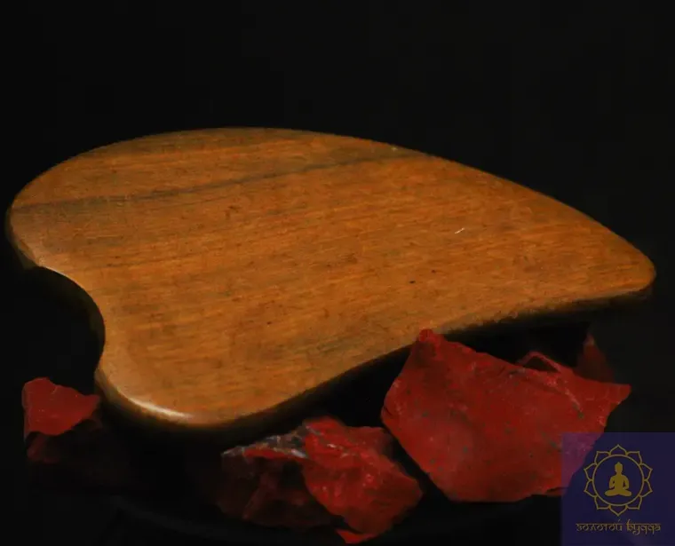 Масажер тичковий алойне дерево